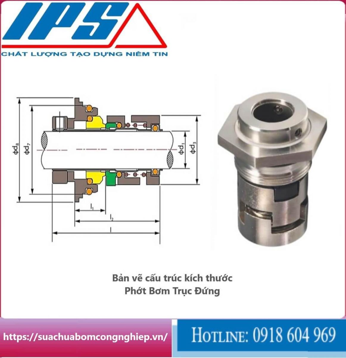 Phớt bơm trục đứng-73(1).